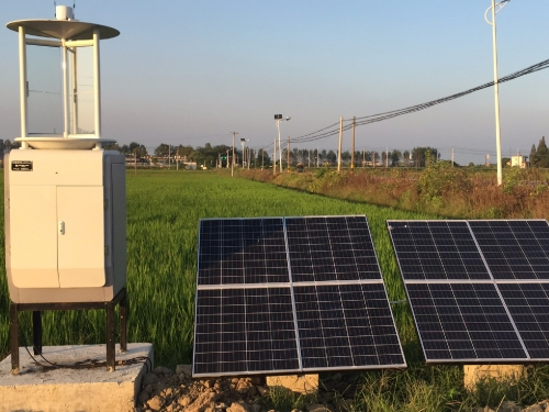 太阳能智能虫情测报灯